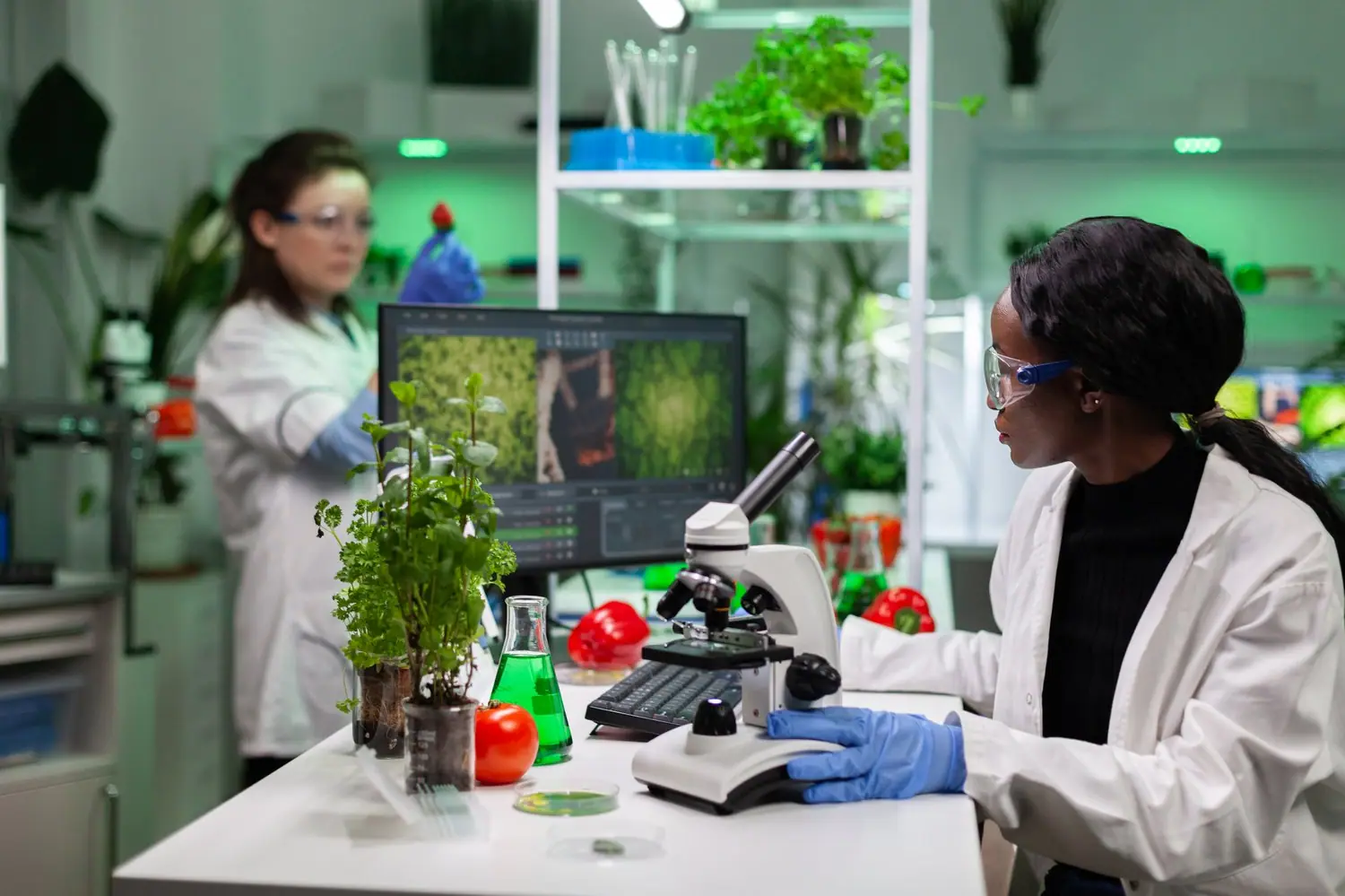 Świętokrzyskie laboratorium botaniczne: Badania nad lokalną florą