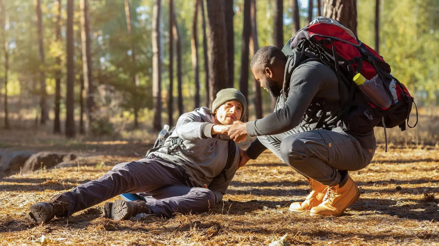 Survival w Górach Świętokrzyskich: szkoły i warsztaty