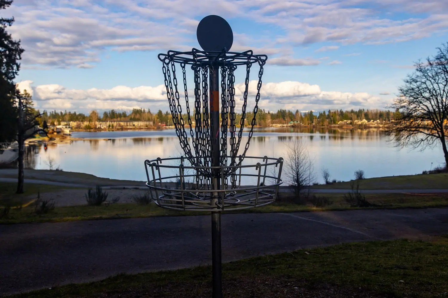Disc golf w Świętokrzyskiem: Pola i społeczność graczy
