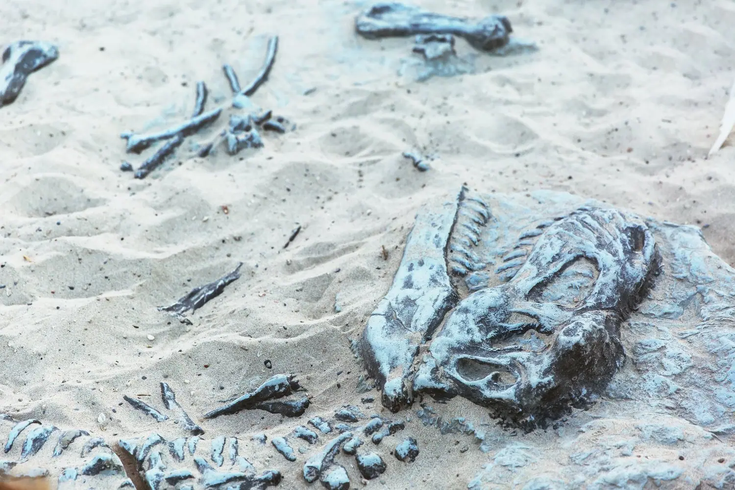 Paleontologia Gór Świętokrzyskich: Nowe odkrycia i badania