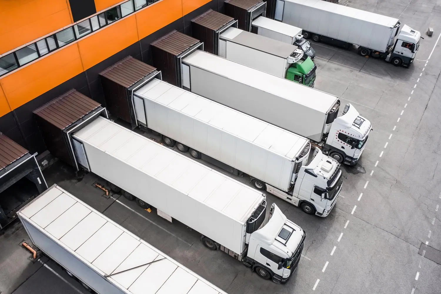 Jak zorganizować transport dla firmy w województwie świętokrzyskim